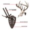 Allen Co EZ Mount Skull Hanger, Fixed, Brown 7228 - alternate 6